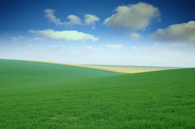 Green field blue sky clouds #57 free wallpaper for desktop - medium preview image