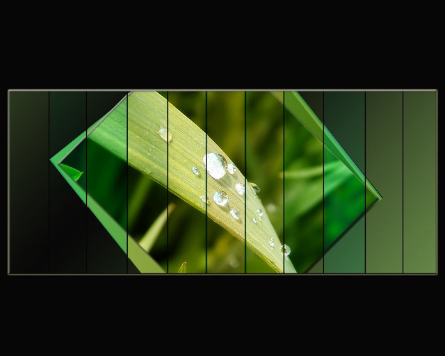 Green leaf water drops black free wallpaper for desktop - medium preview image