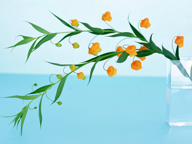 Flower vase green stem table free wallpaper for desktop - medium preview image