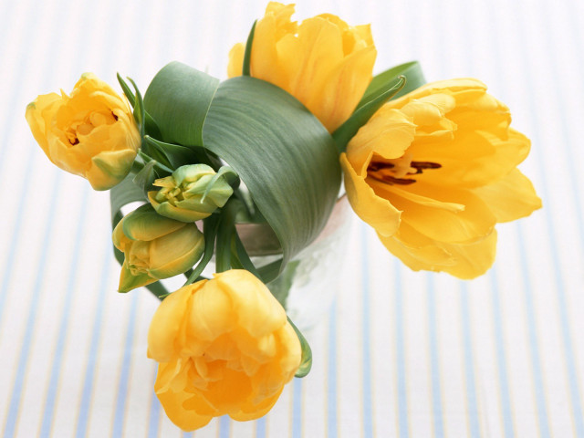 Vase yellow flowers striped tablecloth free wallpaper for desktop - medium preview image