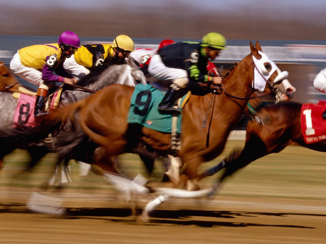 Horses racing jockeys track competition free wallpaper for desktop - medium preview image