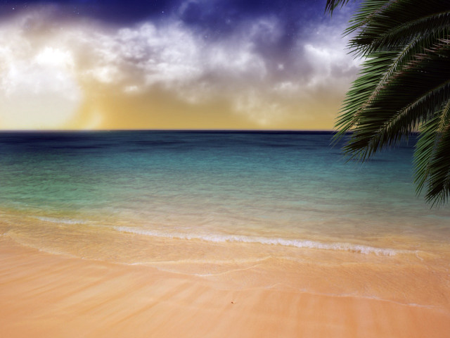 Beach palm tree blue ocean #2 free wallpaper for desktop - medium preview image