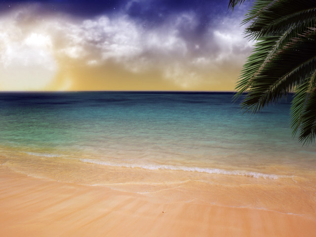 Beach palm tree blue ocean #9 free wallpaper for desktop - medium preview image