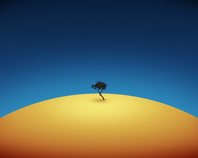 Lone tree hill blue sky #4 free wallpaper for desktop - medium preview image