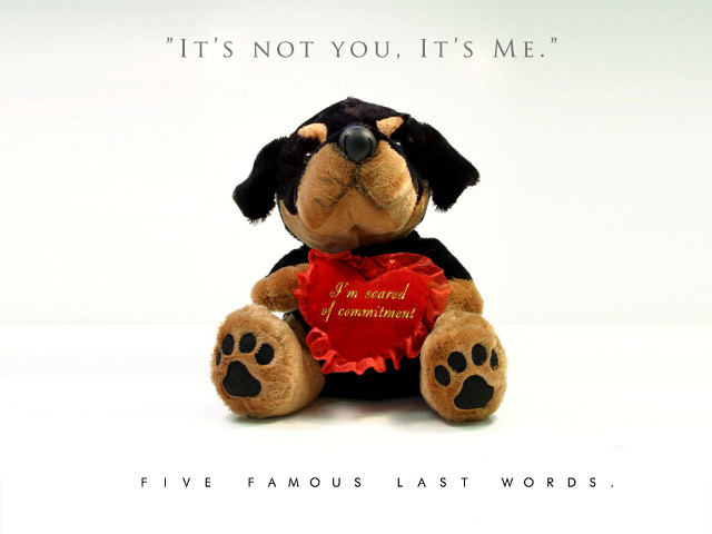 Stuffed dog heart quote back free wallpaper for desktop - medium preview image