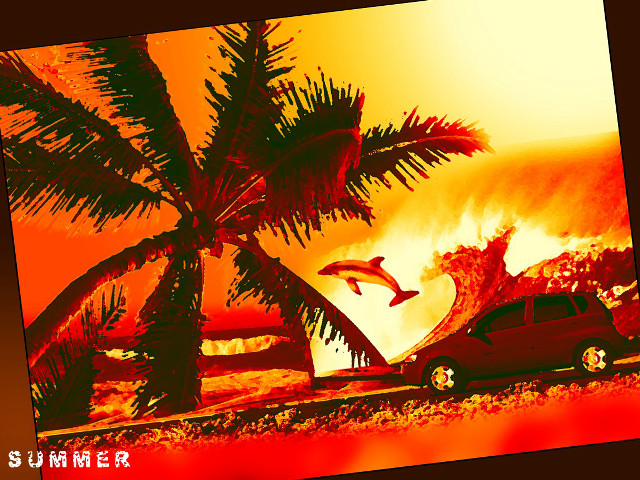 Car palm tree beach dolphin #2 free wallpaper for desktop - medium preview image