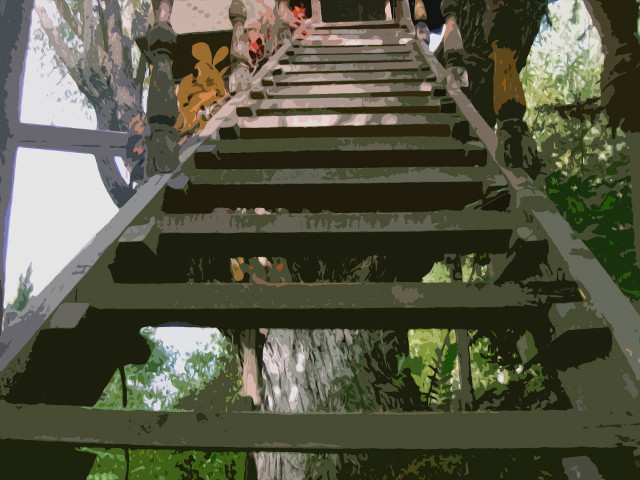 Group people stairs woods trees #2 free wallpaper for desktop - medium preview image