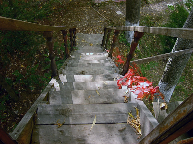 Wooden staircase red flower handrails free wallpaper for desktop - medium preview image