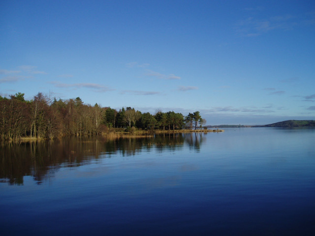 Lake trees blue sky clouds #12 free wallpaper for desktop - medium preview image