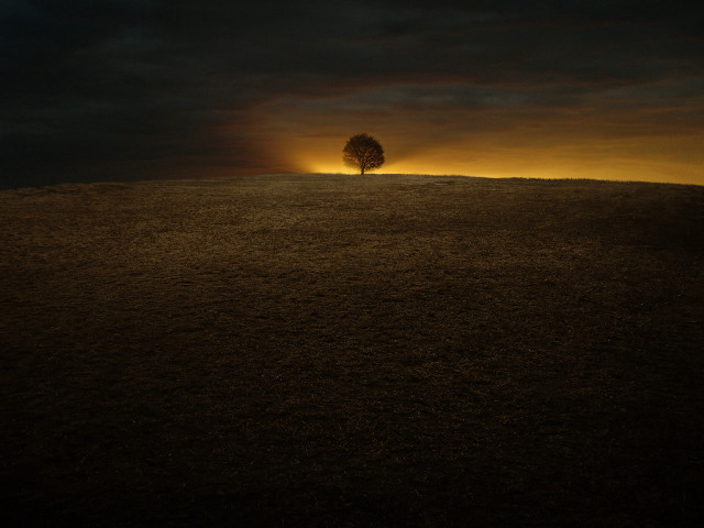 Lone tree hill sunset dark free wallpaper for desktop - medium preview image