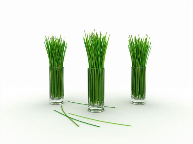 Three vases grass white surface #4 free wallpaper for desktop - medium preview image