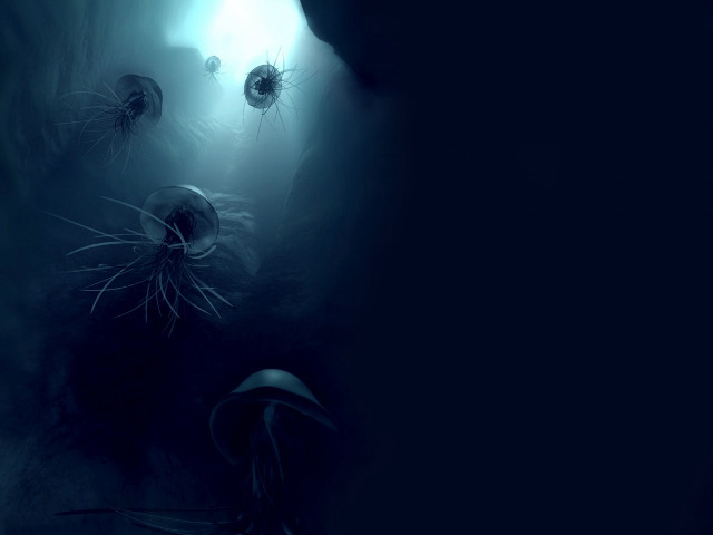 Jellyfish swimming dark ocean surface #2 free wallpaper for desktop - medium preview image