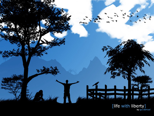 Person tree birds flying fence free wallpaper for desktop - medium preview image