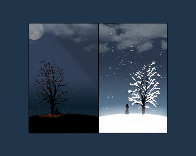Tree person snow night man #2 free wallpaper for desktop - medium preview image