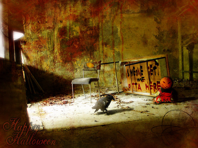 Bird standing room sign chair free wallpaper for desktop - medium preview image