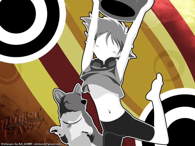 Woman cat hat dog holding free wallpaper for desktop - medium preview image