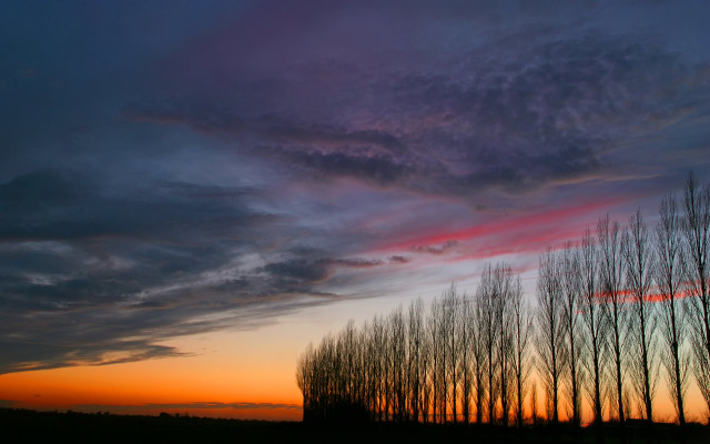 Trees sunset clouds sky background #3 free wallpaper for desktop - medium preview image