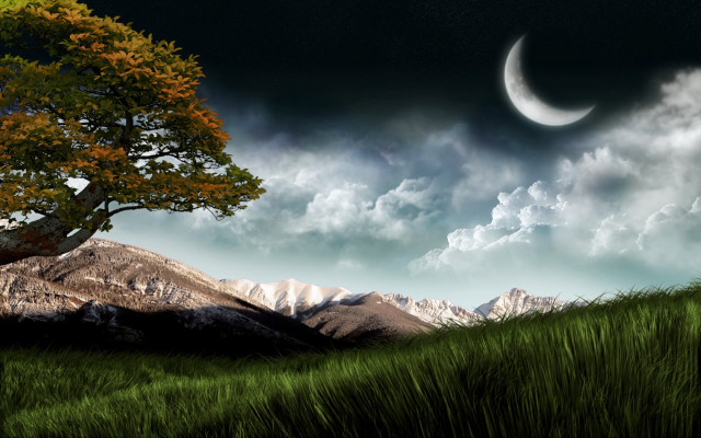 Tree moon sky hill grassy free wallpaper for desktop - medium preview image