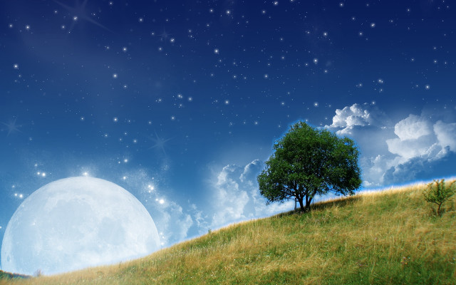 Tree hill full moon stars #3 free wallpaper for desktop - medium preview image