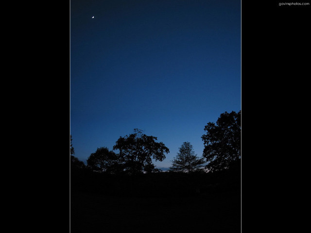 Dark sky trees moon clouds free wallpaper for desktop - medium preview image