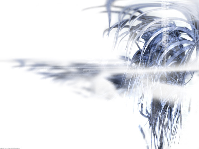 Palm tree white background blurry free wallpaper for desktop - medium preview image