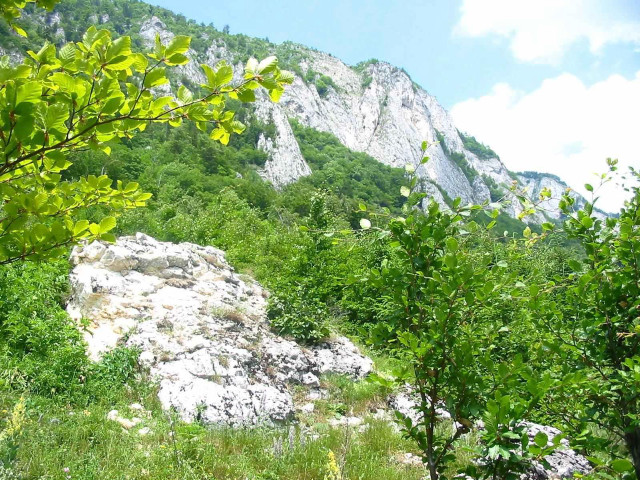Mountain large rock trees blue free wallpaper for desktop - medium preview image