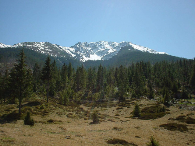 Mountain range snow trees foreground free wallpaper for desktop - medium preview image