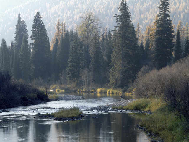 River forest foggy day people #2 free wallpaper for desktop - medium preview image