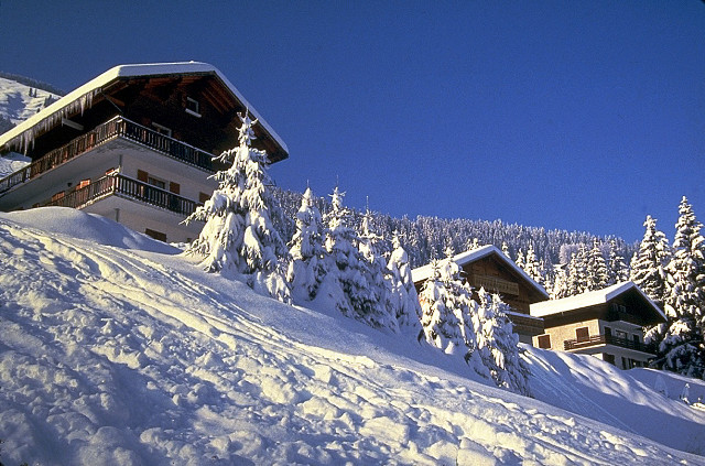House snowy hill trees blue #2 free wallpaper for desktop - medium preview image