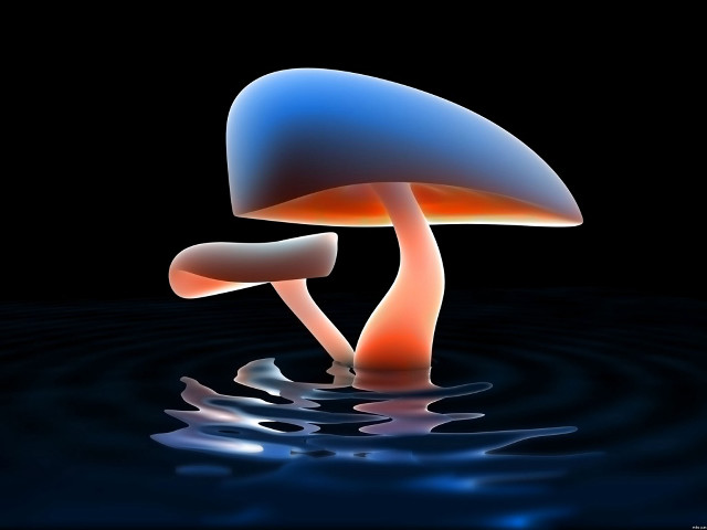 Blue orange mushroom floating water #2 free wallpaper for desktop - medium preview image
