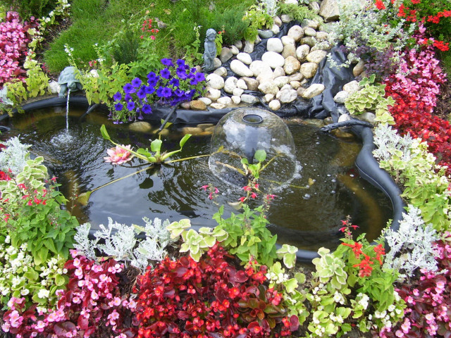 Garden pond flowers birdbath nature free wallpaper for desktop - medium preview image