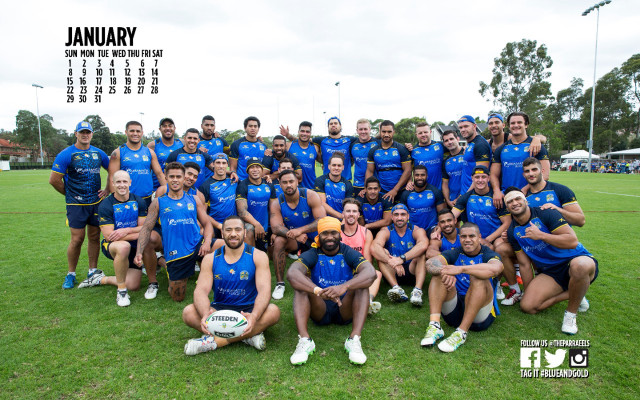 Group blue shirts photo field free wallpaper for desktop - medium preview image