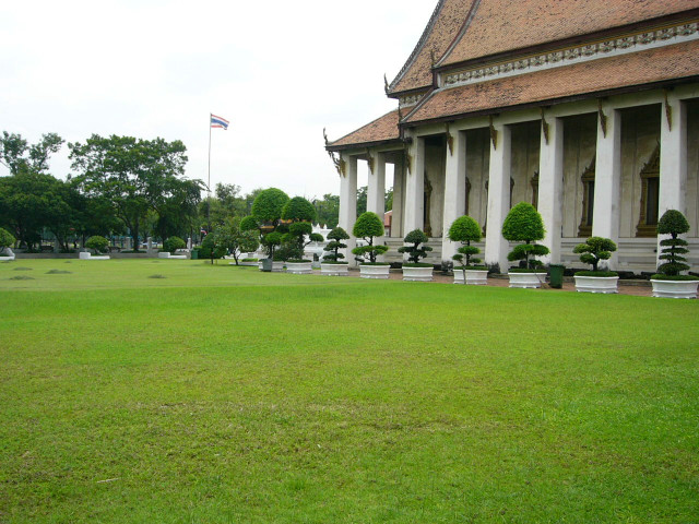 Grassy field building flagpole trees #3 free wallpaper for desktop - medium preview image