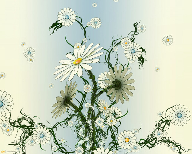 Daisies vase water droplets blue free wallpaper for desktop - medium preview image