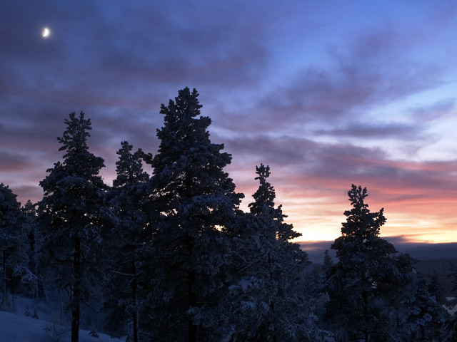 Sunset clouds trees foreground moon #7 free wallpaper for desktop - medium preview image