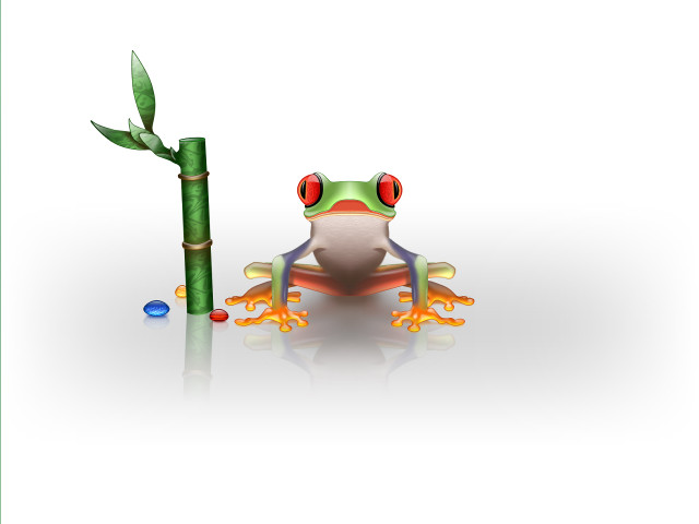 Frog bamboo plant red eyes free wallpaper for desktop - medium preview image