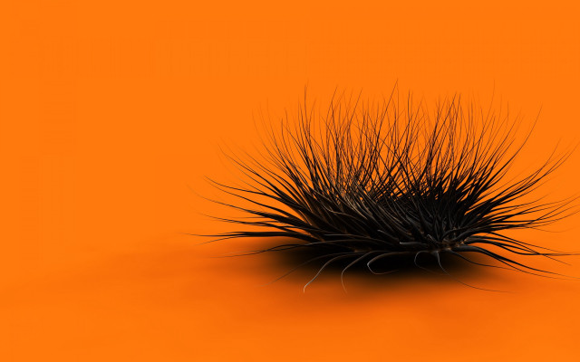 Black object long hair orange #4 free wallpaper for desktop - medium preview image