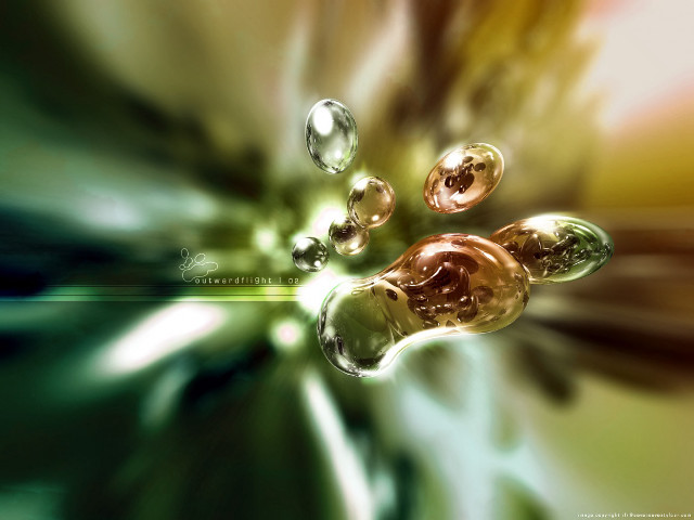 Flower water droplets green background #5 free wallpaper for desktop - medium preview image