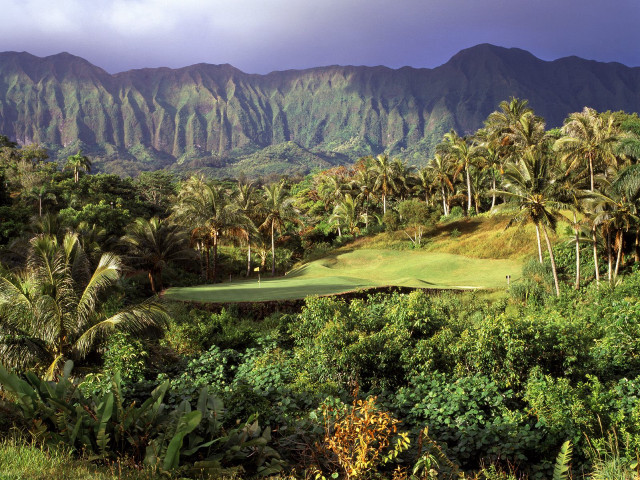 Golf course palm trees mountains #4 free wallpaper for desktop - medium preview image