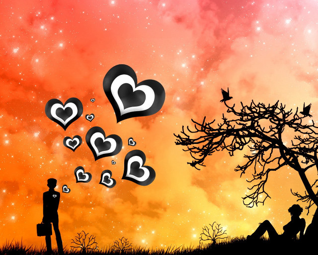 Couple tree hearts sky stars #2 free wallpaper for desktop - medium preview image