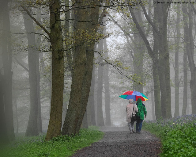 Two people walking path umbrellas #2 free wallpaper for desktop - medium preview image