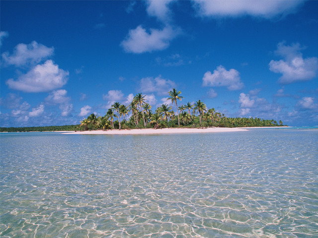 Small island palm trees ocean #19 free wallpaper for desktop - medium preview image