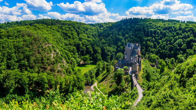 Castle forest road mountain romantic free wallpaper for desktop - medium preview image