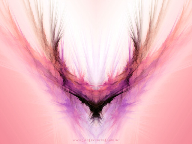 Pink purple abstract background bird free wallpaper for desktop - medium preview image