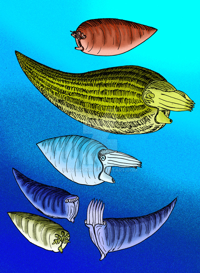 Fish group swimming ocean together free wallpaper for mobile - medium preview image