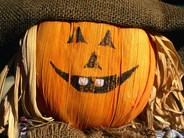 Pumpkin hat scarf head neck free wallpaper for desktop - medium preview image