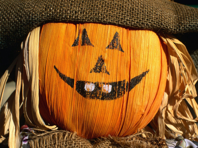 Pumpkin hat scarf fall autumn #2 free wallpaper for desktop - medium preview image
