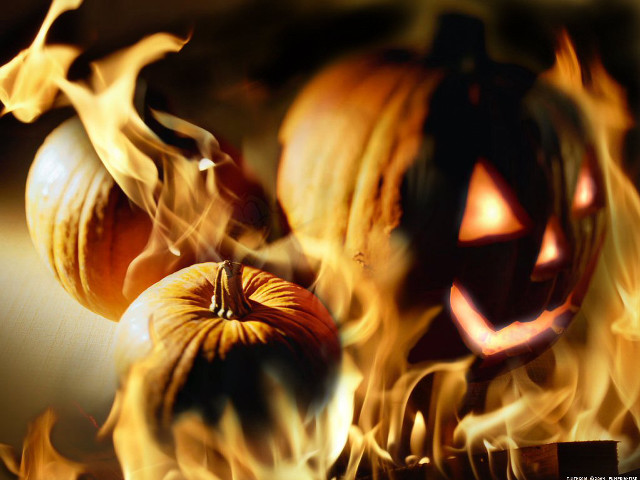 Fire burning pumpkin jack o free wallpaper for desktop - medium preview image