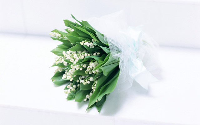 Bouquet flowers table white background free wallpaper for desktop - medium preview image
