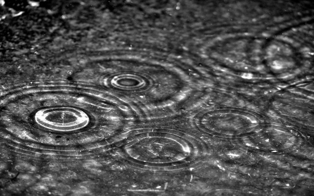 Black white rain drops water free wallpaper for desktop - medium preview image